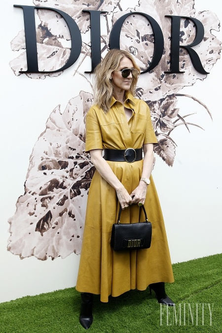 Céline Dion v kožených šatách