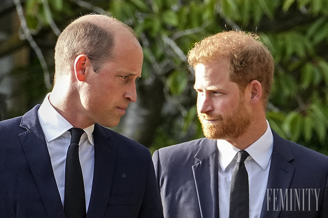 Expert si myslí, že William nebude súhlasiť s opätovným prijatím Harryho do rodiny, pokiaľ sa jasne neospravedlní. 