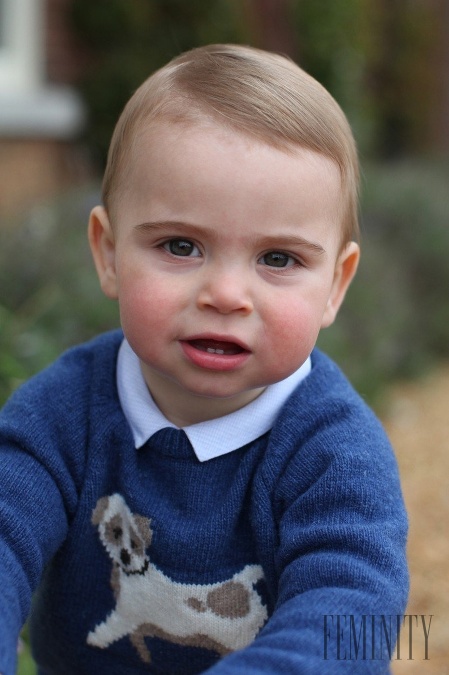 Malý princ Louis oslávil pred časom svoje prvé narodeniny