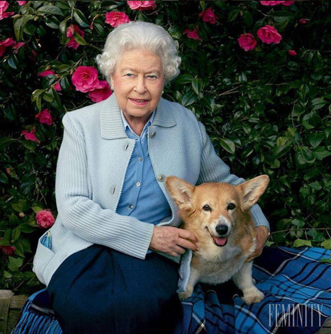 Kráľovná je známa svojou láskou k zvieratám
