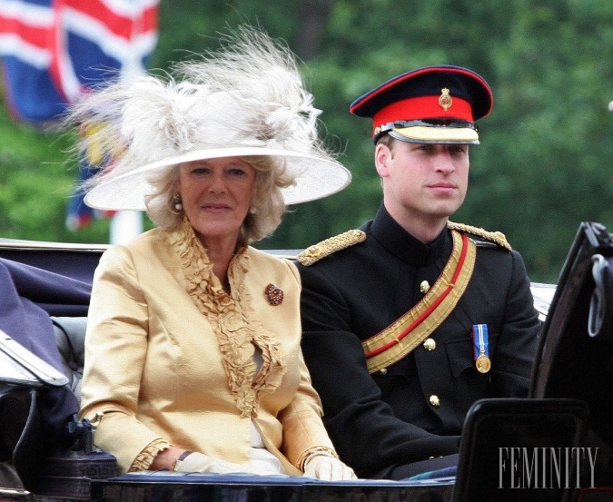 Bola to vraj Camilla, ktorá vnukla Charlesovi, aby prinútil Williama sa ohľadom vzťahu s Kate rozhodnúť. 