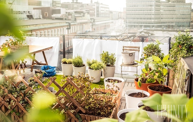 Priestranný balkón môžete využiť na vlastnú mini záhradu