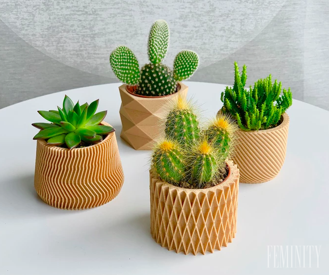 Minimalistické kvetináče pre sukulenty a kaktusy vytlačené na 3D tlačiarni, vyrobené z eko-zmesi recyklovaného dreva a bioplastov vyrobených z kukurice