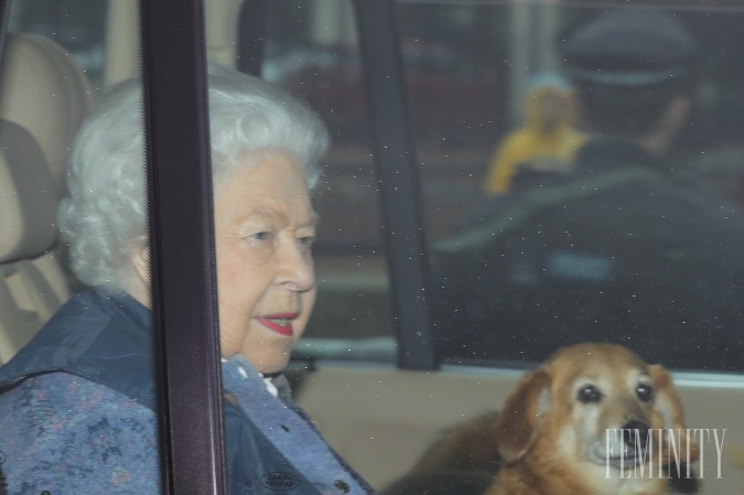 Kráľovná je aktuálne izolovaná mimo paláca